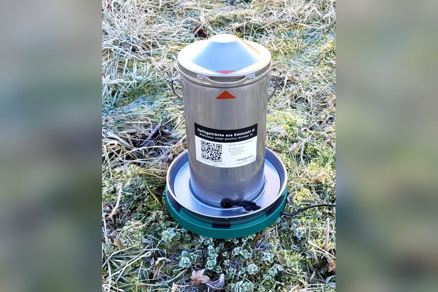Edelstahl-Hühnertränke im Schnee – Hühner im Winter richtig tränken