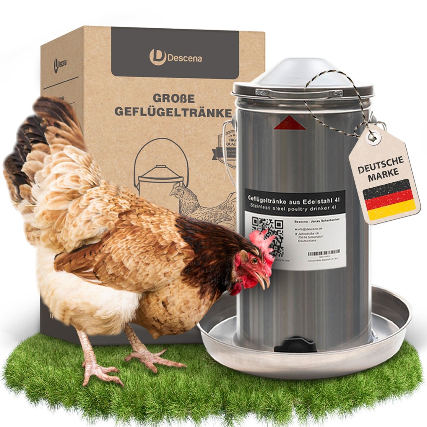 Descena Hühnertränke mit Verpackung und Henne – Originalfoto